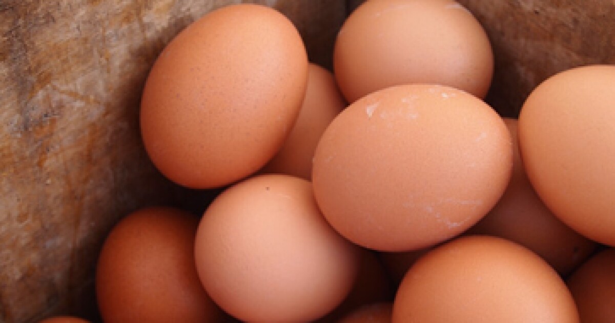 huevos revueltos con jamon de pavo calorias huevos revueltos con jamon de pavo calorias